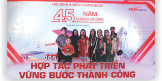 Hợp tác phát triển - Đại Việt - Cadivi