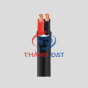 Dây cáp điện CVV 2 lõi CADIVI 0,6/1KV, ruột đồng