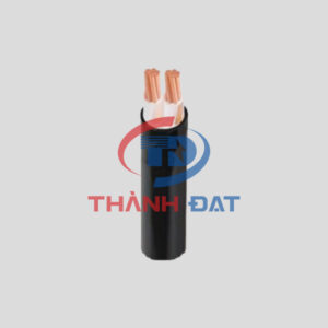 Dây cáp điện CXV 2 lõi CADIVI 0,6/1KV ruột đồng, vỏ PVC