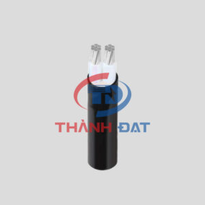 Dây cáp AXV CADIVI 0,6/1KV, 2 lõi