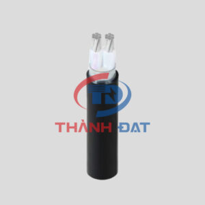 Dây cáp AXV/DSTA CADIVI 0,6/1KV, ruột nhôm, 2 lõi