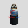 Dây cáp điện CXV/SE/DSTA CADIVI 24KV, ruột đồng